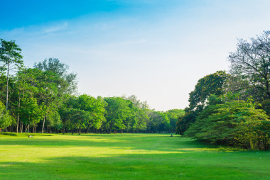在城市公園和娛樂場所照片
