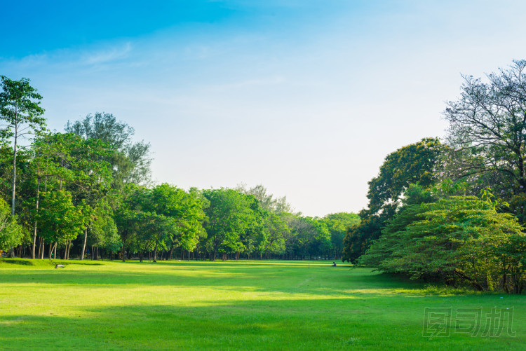 在城市公園和娛樂場(chǎng)所照片