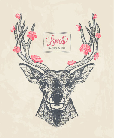 手畫的鹿頭與花圖片