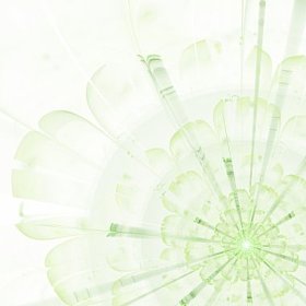 分形花