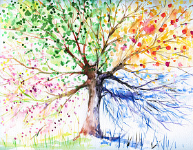四个 seasonstree