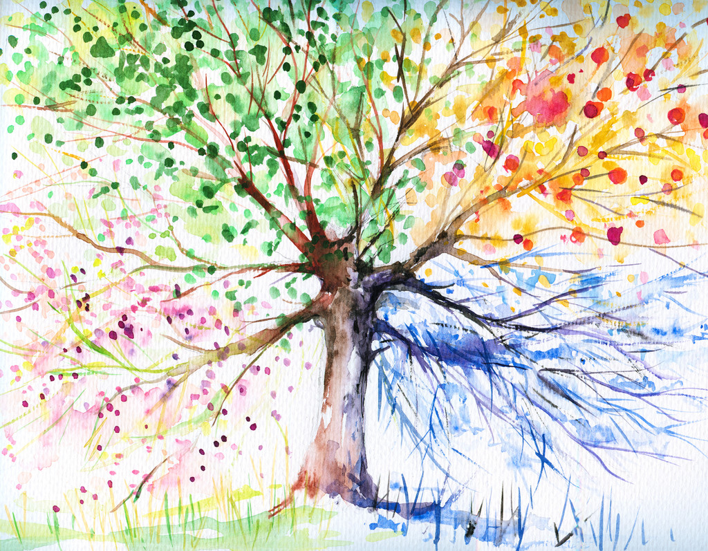 四个 seasonstree 四个 seasonstree
