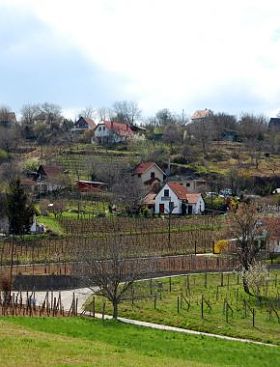 风景秀丽的乡村景