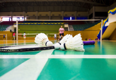 綠色的地板上的白色毽子 