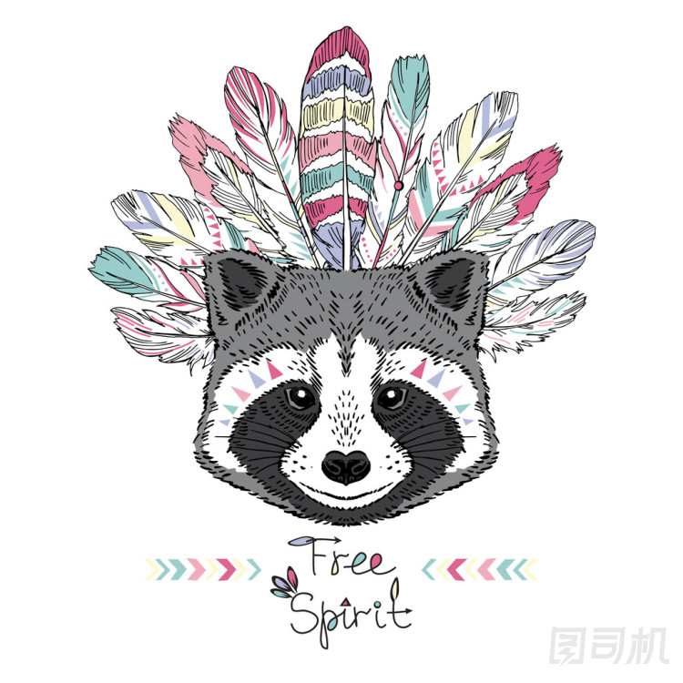 浣熊阿茲臺克風(fēng)格的插圖圖片