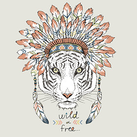 美国原住民虎在战争的帽子