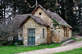 在树林里的老房子照片