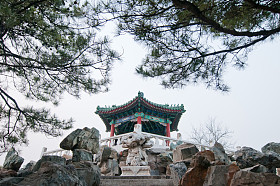 日坛公园图片