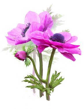 粉紅色的春天的花朵的花束圖片