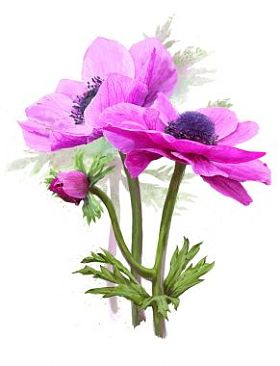 粉红色的春天的花朵的花束图片