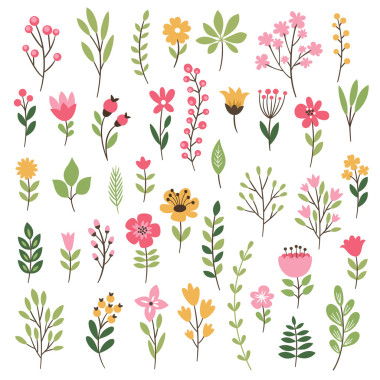 色彩鮮艷的花卉背景圖片