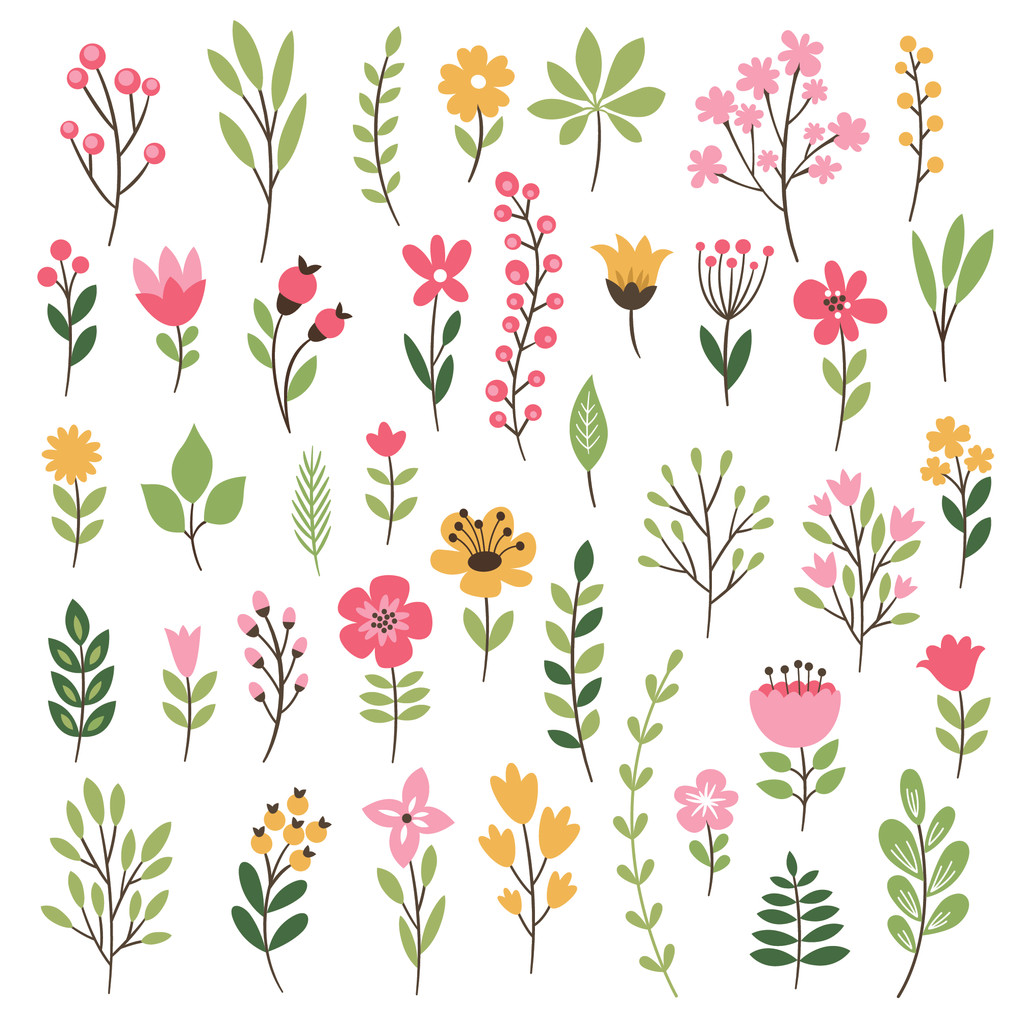 色彩鲜艳的花卉背景图片 色彩鲜艳的花卉背景图片