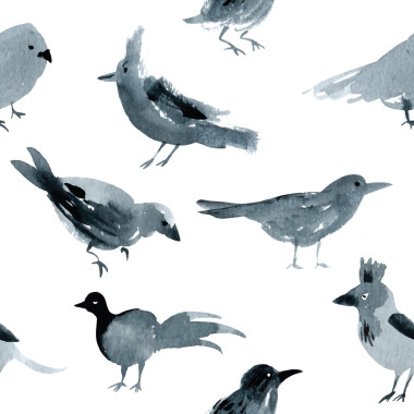 模式与水彩的鸟图片
