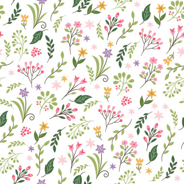 色彩鲜艳的花卉背景图片