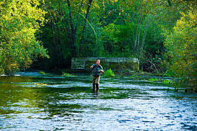 飞捕鱼的渔夫图片