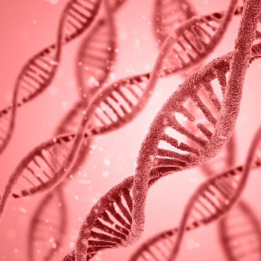 多彩的 Dna 結構