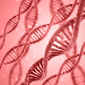 多彩的 Dna 结构