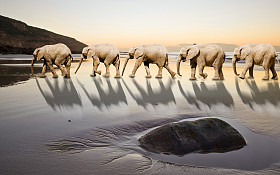 独特的领导创意概念团队合作