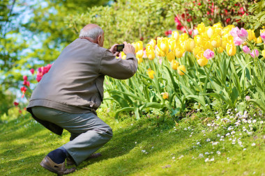快乐老人享受花公园照片
