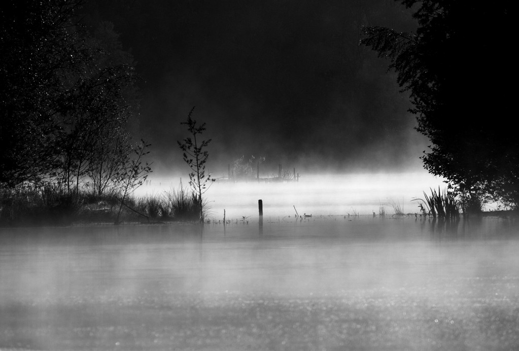 黑色和白色的在晨雾中的小湖的景