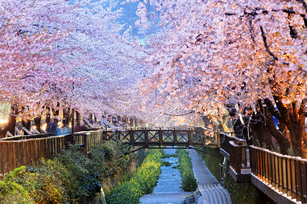 在韩国釜山