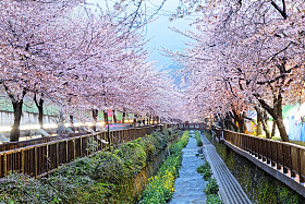 在韩国釜山市图片