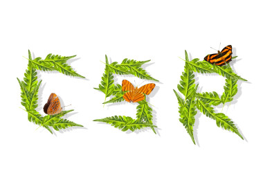 綠色的葉子企業(yè)社會責任照片