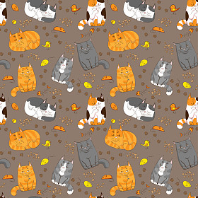 卡通猫图案照片