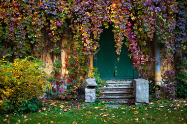 印度夏季 23圖片