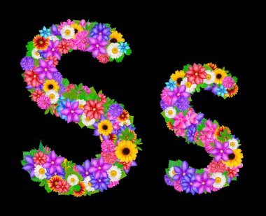 花 S 字母的字母表圖片