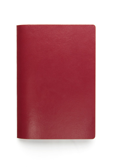 空白護照上白色隔離圖片