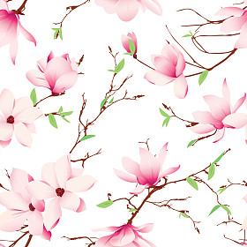 春天玉兰花无缝模式