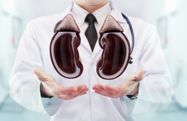 醫(yī)生用聽診器和腎臟醫(yī)院在手上