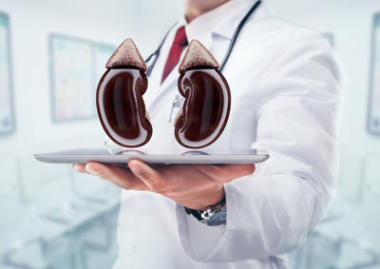 醫(yī)生用聽診器和腎臟醫(yī)院在手上