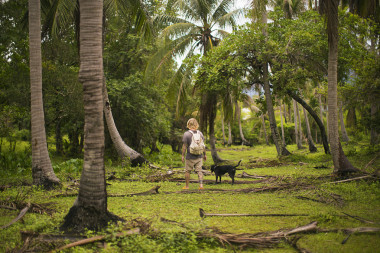 一只狗的人圖片