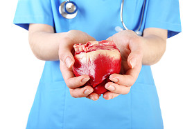 在医生手中的心图片