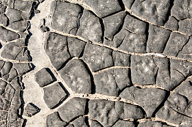 老焦油的纹理图片