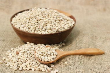 干的苡种子图片