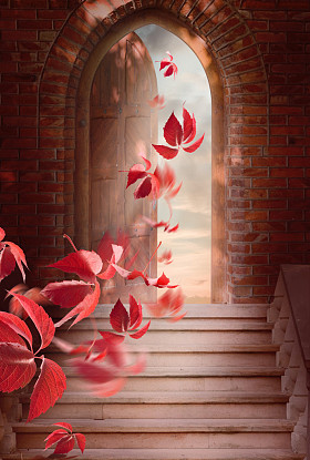 秋天的树叶秋天通过打开的门