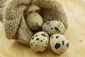 鹌鹑蛋