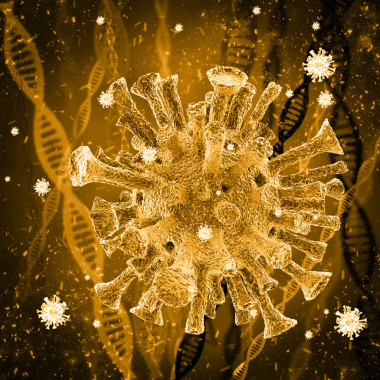 細(xì)菌入侵細(xì)胞