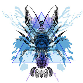 Zentangle 程式化三角形框架用水龙虾小龙虾