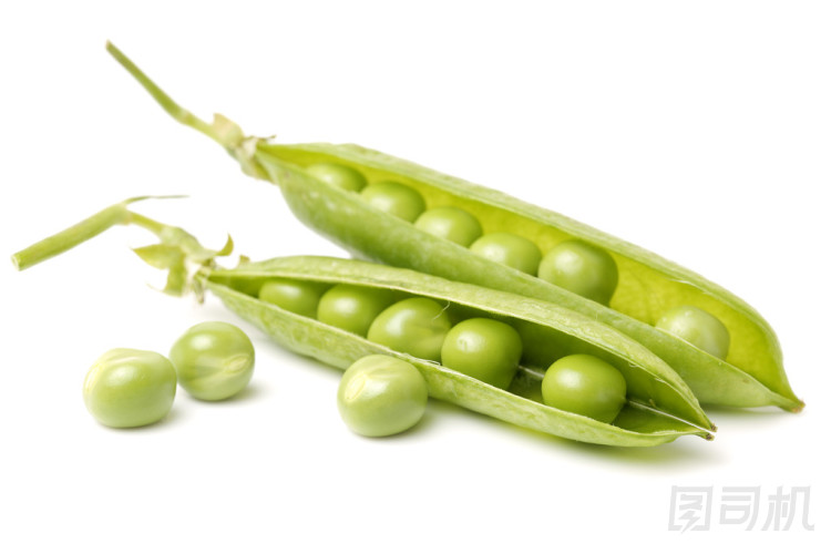 新鮮的雪豆圖片