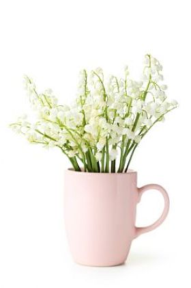 在杯中山谷的百合花
