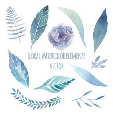 水彩花卉設(shè)置與草藥