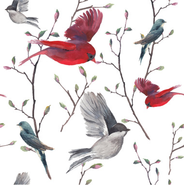 無(wú)縫模式與鳥(niǎo)圖片
