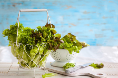 各種類型的生菜