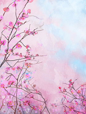画粉红色日本樱花-樱花花卉春天开花背景