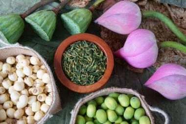 集合蓮花、 種子、 茶葉、 健康食