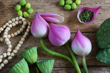 集合蓮花、 種子、 茶葉、 健康食
